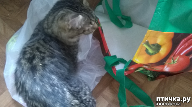 ���� 6: ������� � ��������� - ����� � �����������!