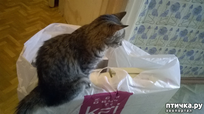 ���� 5: ������� � ��������� - ����� � �����������!