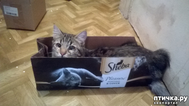 ���� 7: ������� � ��������� - ����� � �����������!