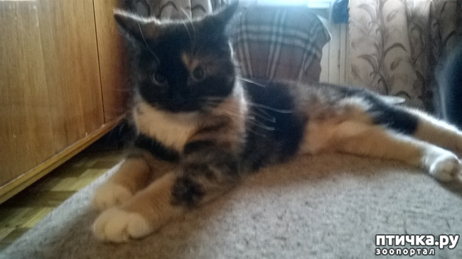 ���� 9: ������� � ��������� - ����� � �����������!