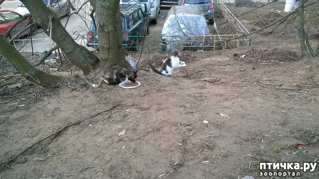 ���� 15: ������� � ��������� - ����� � �����������!