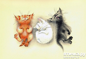 ����: ��� ������� � ������ ����� ���� ���������