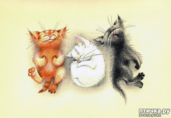 ���� 1: ��� ������� � ������ ����� ���� ���������