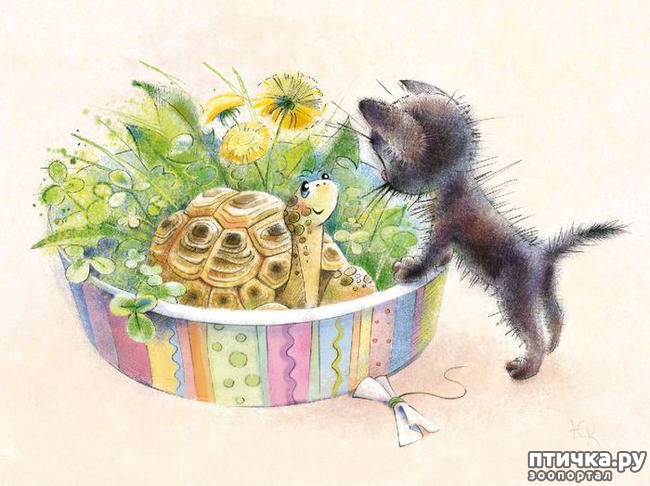 ���� 2: ��� ������� � ������ ����� ���� ���������