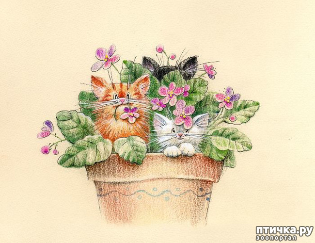 ���� 6: ��� ������� � ������ ����� ���� ���������