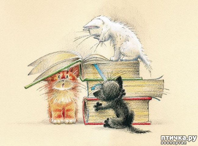 ���� 7: ��� ������� � ������ ����� ���� ���������