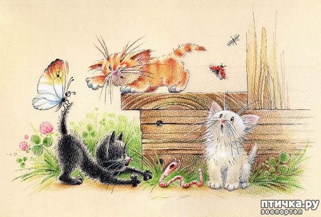 ���� 5: ��� ������� � ������ ����� ���� ���������