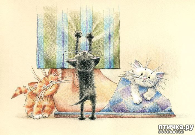 ���� 9: ��� ������� � ������ ����� ���� ���������