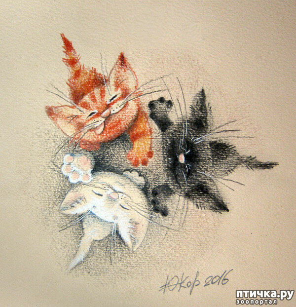 ���� 3: ��� ������� � ������ ����� ���� ���������