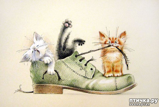 ���� 12: ��� ������� � ������ ����� ���� ���������