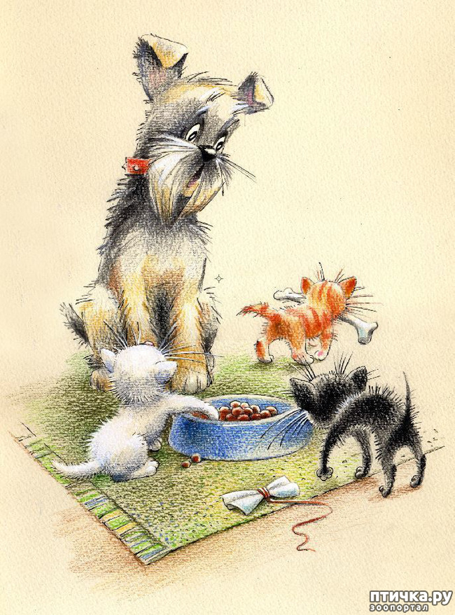 ���� 8: ��� ������� � ������ ����� ���� ���������