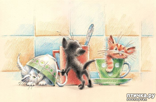 ���� 10: ��� ������� � ������ ����� ���� ���������