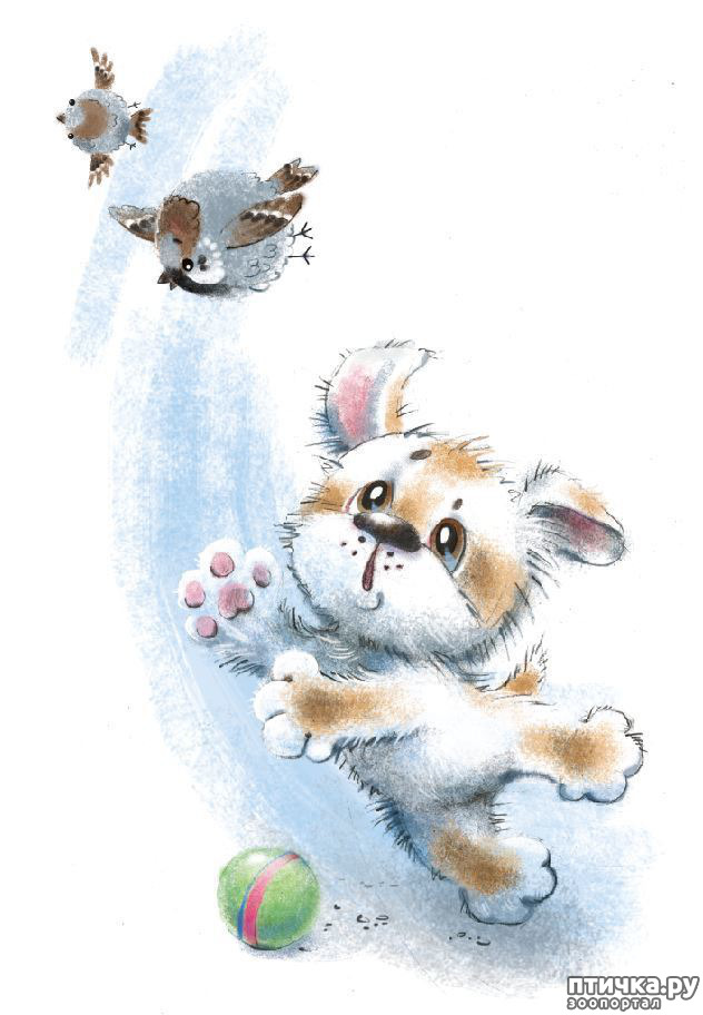 ���� 16: ��� ������� � ������ ����� ���� ���������