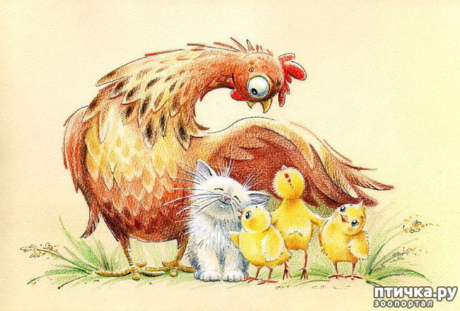 ���� 15: ��� ������� � ������ ����� ���� ���������