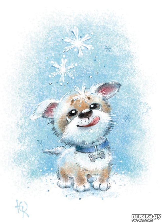 ���� 18: ��� ������� � ������ ����� ���� ���������