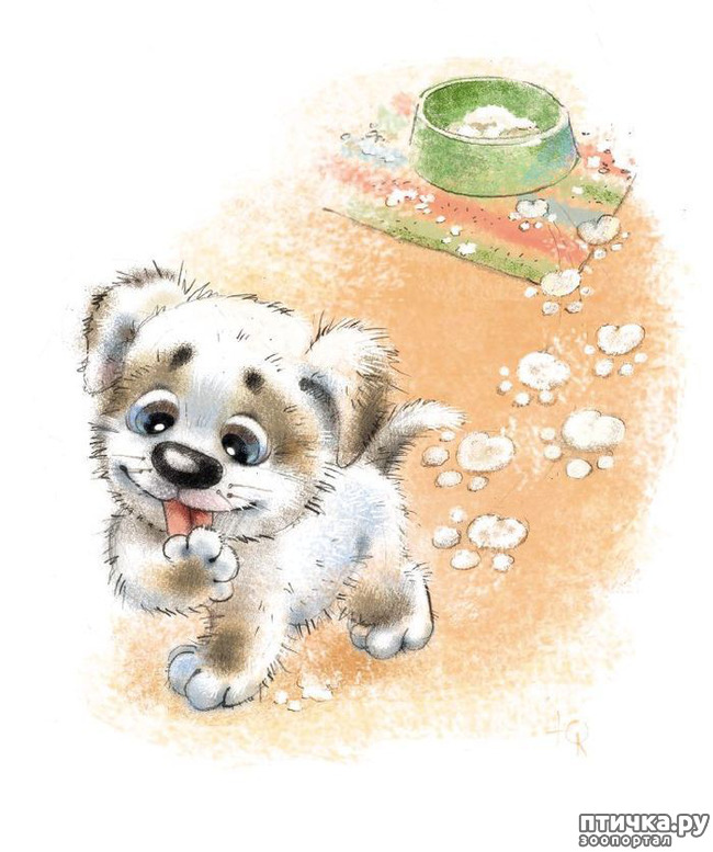 ���� 19: ��� ������� � ������ ����� ���� ���������