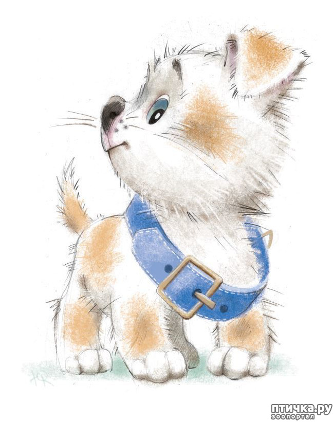 ���� 20: ��� ������� � ������ ����� ���� ���������