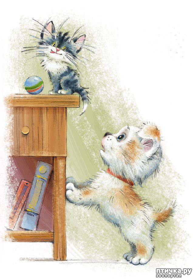 ���� 17: ��� ������� � ������ ����� ���� ���������