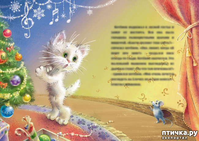 ���� 24: ��� ������� � ������ ����� ���� ���������