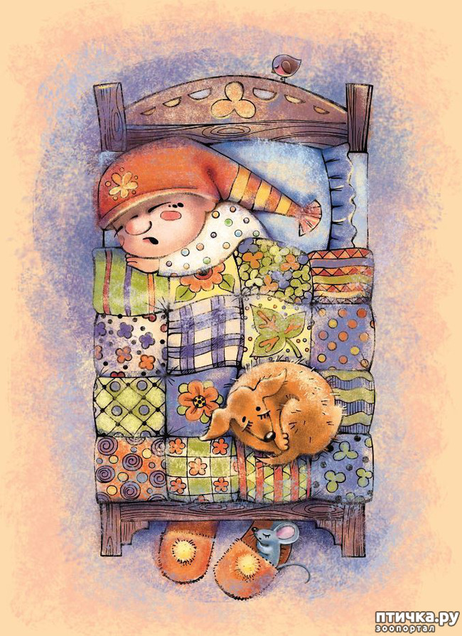 ���� 27: ��� ������� � ������ ����� ���� ���������