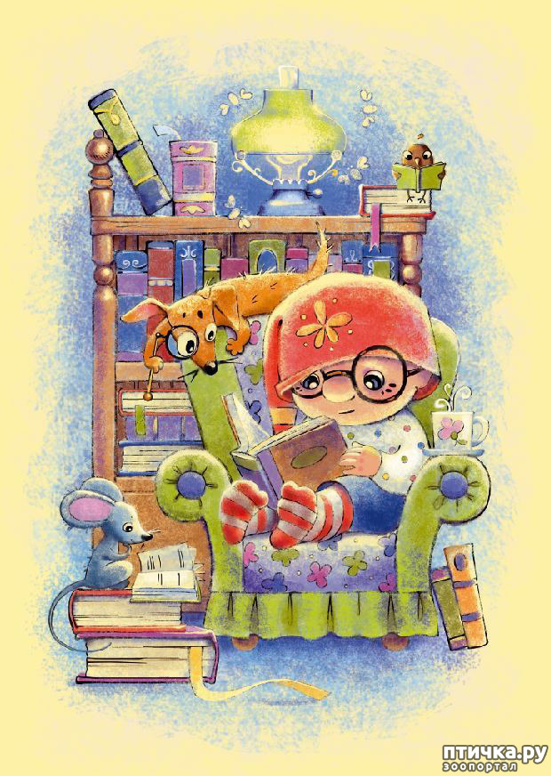 ���� 26: ��� ������� � ������ ����� ���� ���������