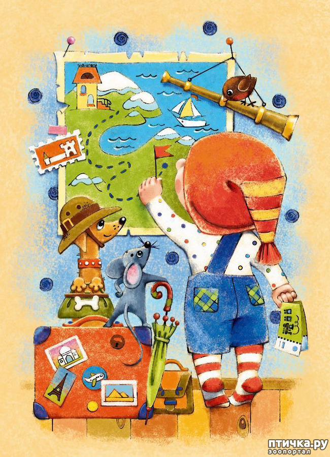 ���� 28: ��� ������� � ������ ����� ���� ���������