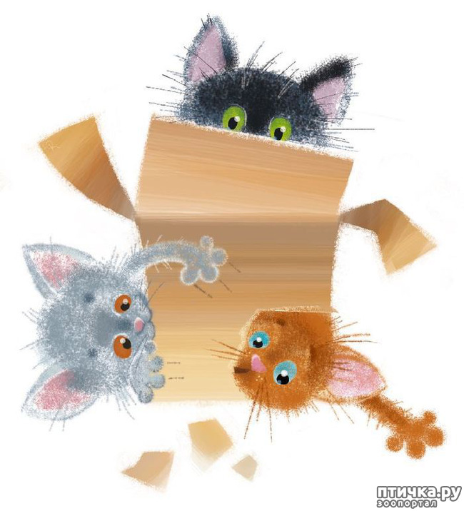 ���� 4: ��� ������� � ������ ����� ���� ���������