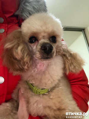 ����: ������� � ���� ��������...