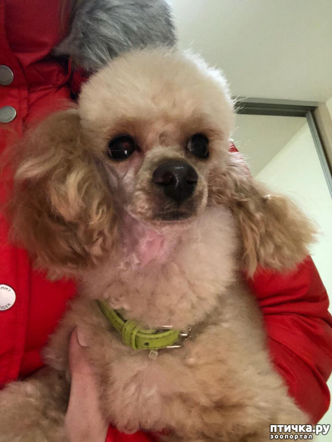 ���� 1: ������� � ���� ��������...