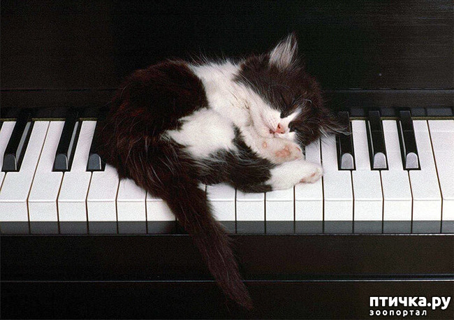 ���� 3: ��� ���, �������!!!