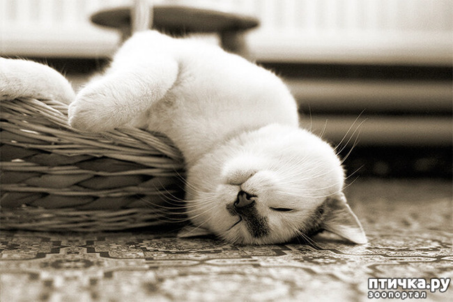 ���� 5: ��� ���, �������!!!