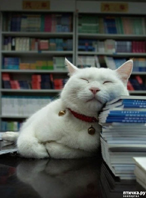 ���� 6: ��� ���, �������!!!