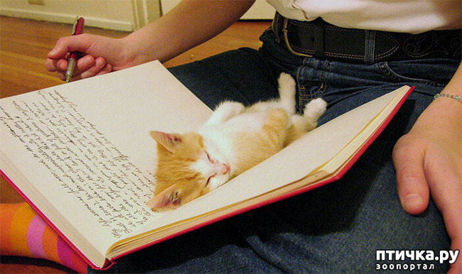 ���� 8: ��� ���, �������!!!