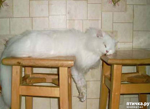 ���� 11: ��� ���, �������!!!