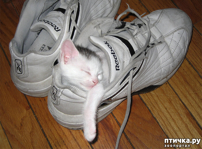 ���� 12: ��� ���, �������!!!