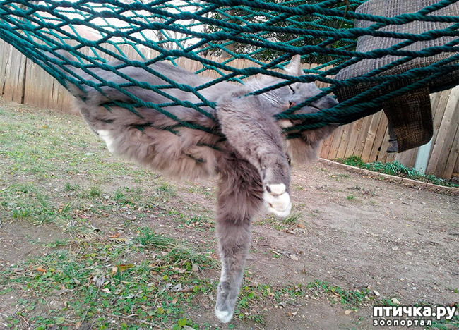 ���� 15: ��� ���, �������!!!