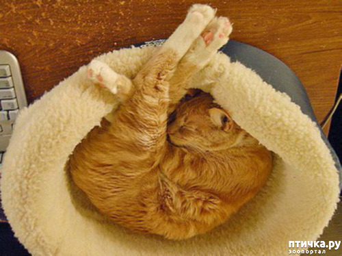 ���� 16: ��� ���, �������!!!