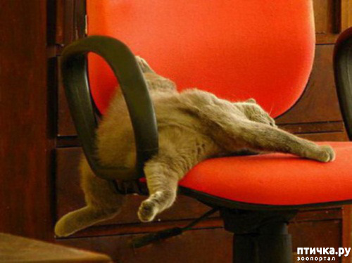 ���� 17: ��� ���, �������!!!