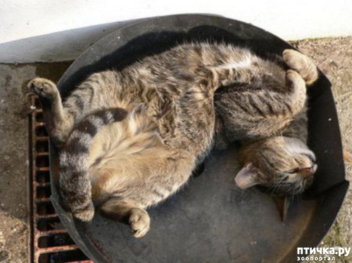 ���� 18: ��� ���, �������!!!