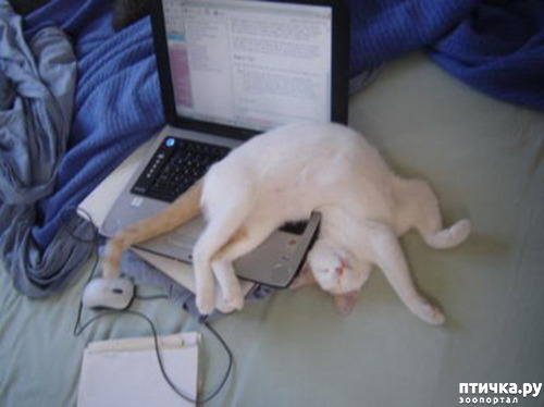 ���� 20: ��� ���, �������!!!