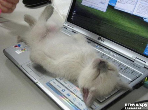 ���� 21: ��� ���, �������!!!