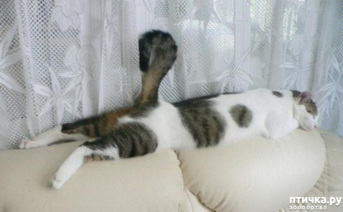 ���� 22: ��� ���, �������!!!