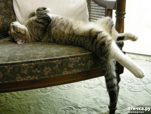 ���� 23: ��� ���, �������!!!