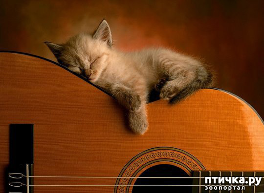 ���� 26: ��� ���, �������!!!