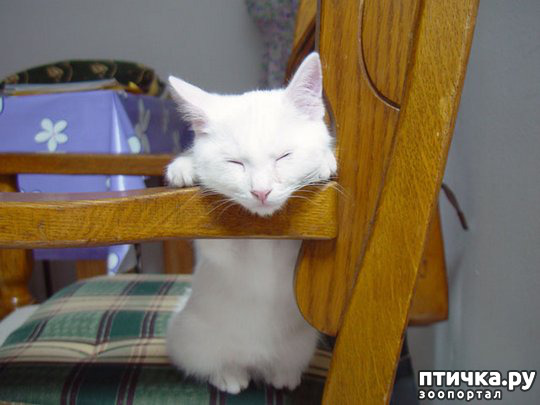 ���� 27: ��� ���, �������!!!