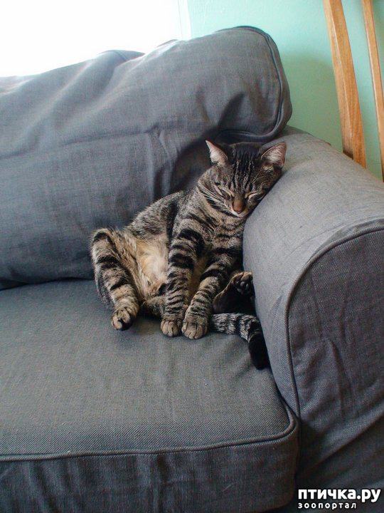 ���� 28: ��� ���, �������!!!