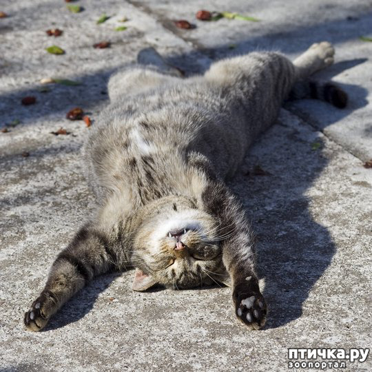 ���� 29: ��� ���, �������!!!