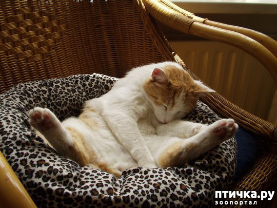 ���� 30: ��� ���, �������!!!