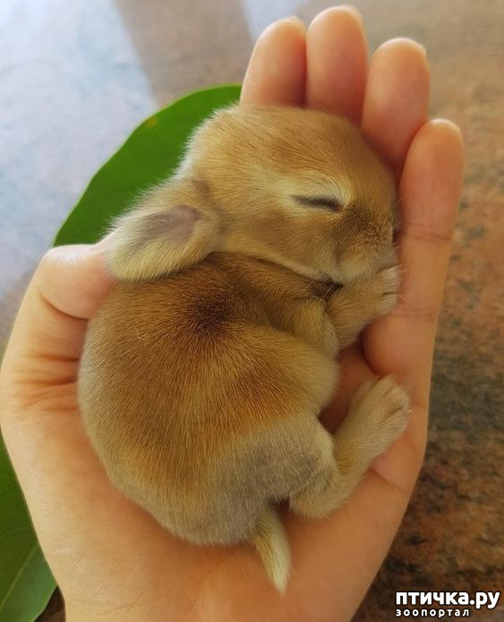 ���� 2: ������� ���