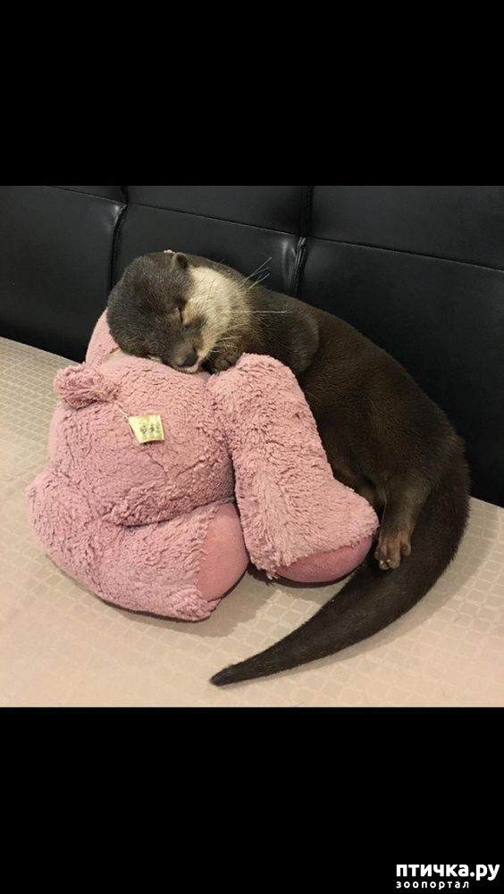 ���� 5: ������� ���